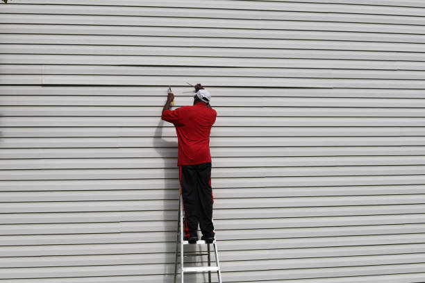Affordable Siding Repair and Maintenance Services in Stayton, OR